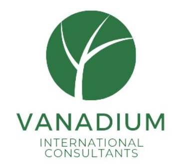 Vanadium Logo